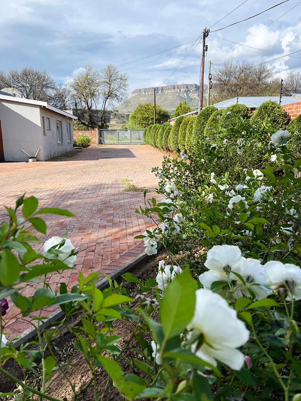 Village Lodge Harrismith Buitenkant foto